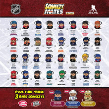 Load image into Gallery viewer, 2025 NHL Squeezymates